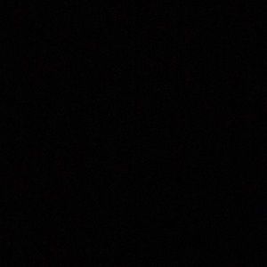 Meet your Posher, Whitney